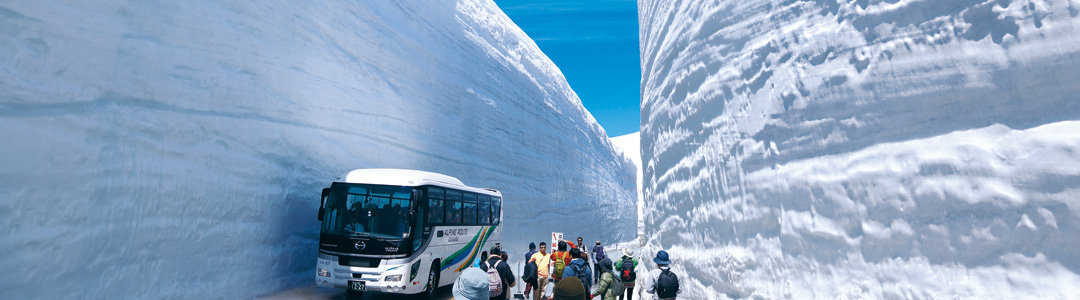 Great Snow Wall